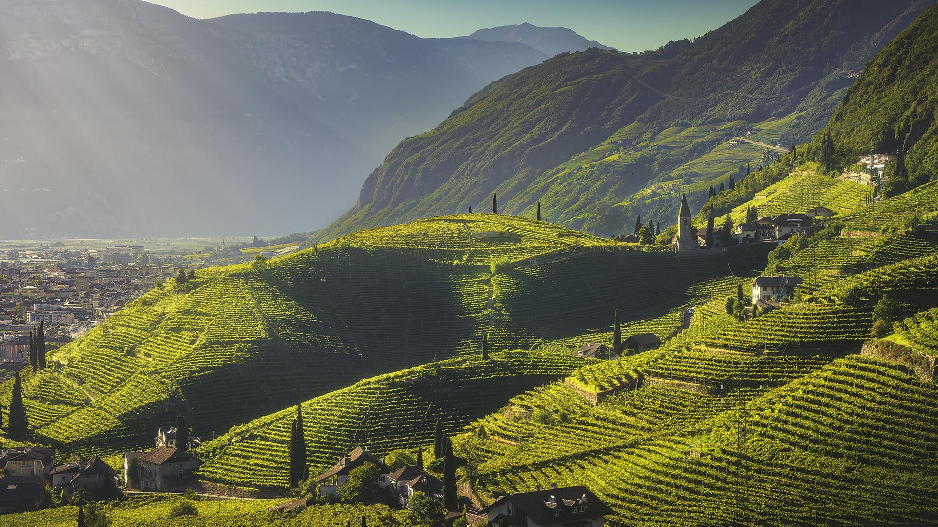 Discover wine in a unique way... 